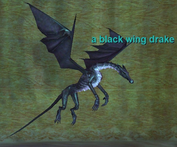 A Black Wing Drake